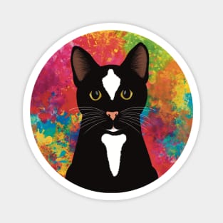 The cute and alert black and white tuxedo cat is waiting and watching you , colorful  background Magnet